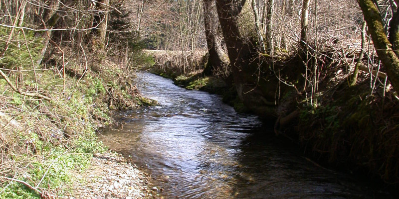 Kleiner Bach mit Kieseln im Flussbett.