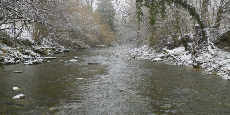 Flusslauf im Winter mit leicht verschneiten Steinen und Bäumen am Ufer