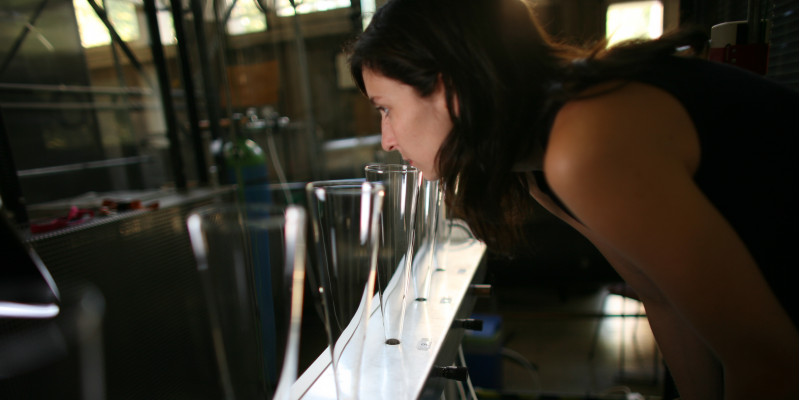 a young woman takes a smell at one of different glass plungers which are set out in a row