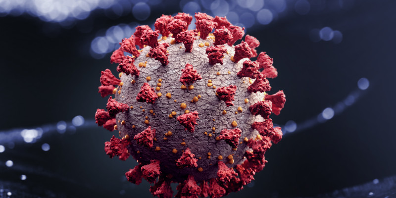 Ein Virus in der Großaufnahme