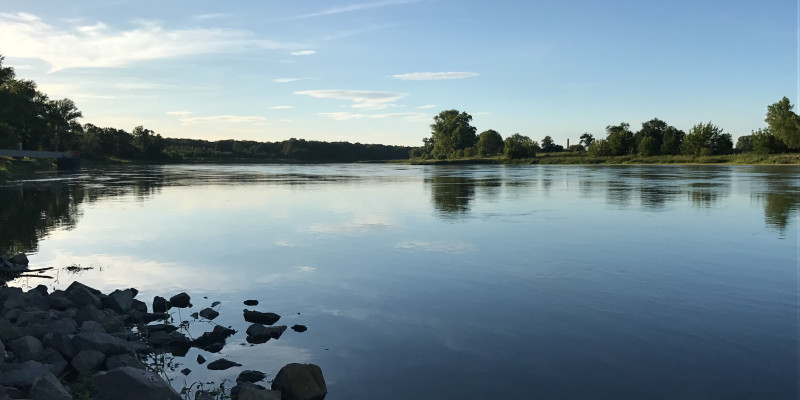 Der Fluss Elbe im Vordergrund mit Bäumen am Ufer und blauem Himmel.