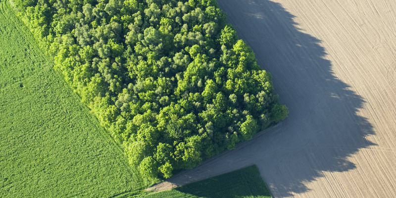 Landschaft mit landwirtschaftlicher Nutzfläche, Naturwiese und Feldgehölzen.
