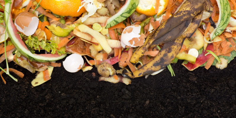Hochwertige Verwertung: der Weg vom Bioabfall zum Kompost 