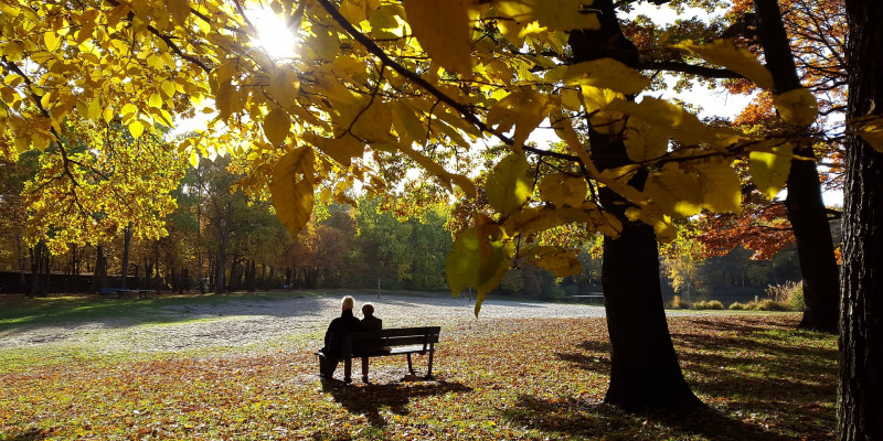 Ein Paar sitzt im Sonnenlicht in einem Park auf einer Bank.