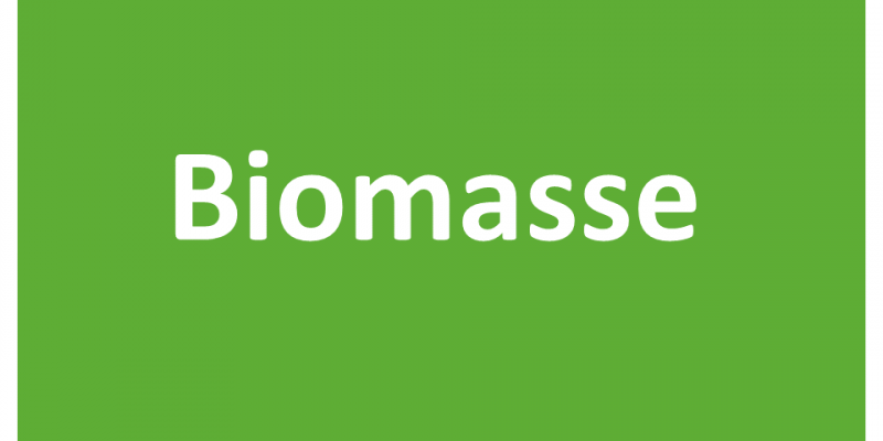 Biomasse