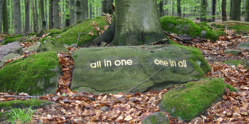 Aufgebrachte Schriftzüge im Wald: "all in one" und "one in all"