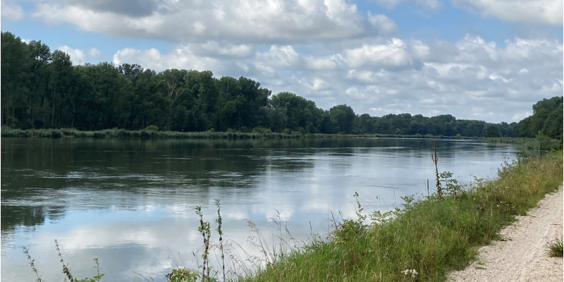 Flusslauf der Donau vom Ufer aus