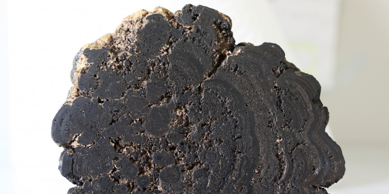 black manganese nodule