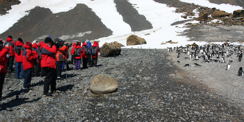 Auf der linken Seite des Bildes steht eine Gruppe von Menschen in roten Kälteschutzanzügen. Sie halten ausreichend Abstand zu einer Gruppe Pinguine auf der rechten Seite. 