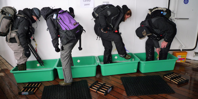4 Personen waschen sich auf dem Schiff die Schuhe in flachen Wasserbehältern. Vor den Behältern liegen Abtrittsmatten. 