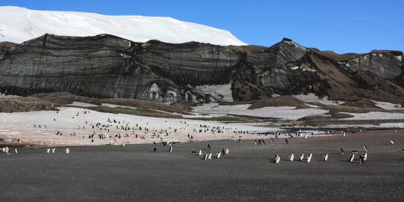 The Antarctic continent is located on a continental plate called the Antarctic Plate.