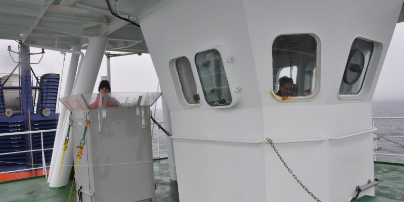 Researchers observe whales from the crow's nest, the highest point on the Polarstern vessel. 