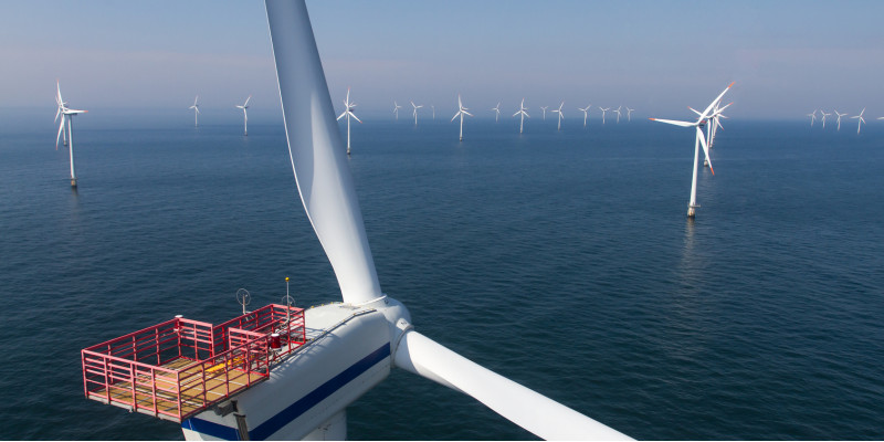 Im Meer steht eine Vielzahl von Windkraftanlagen.