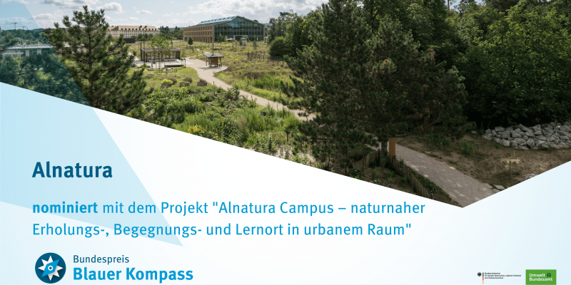 Das Bild zeigt den Tiny Forest und die Renaturierungsfläche auf dem Alnatura-Campus.