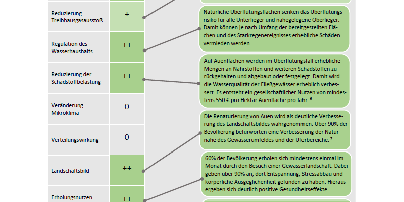 Die Maßnahme hat eine positive Wirkung auf die Reduzierung des Treibgasaustoßes und sogar eine stark positive Wirkung auf die Biodiversität, die Regulation des Wasserhaushalts, der Reduzierung der Schadstoffbelastung, das Landschaftsbild, den Erholungsnutzen der Landschaft und die Gesamtbilanz der Wohlfahrtseffekte.