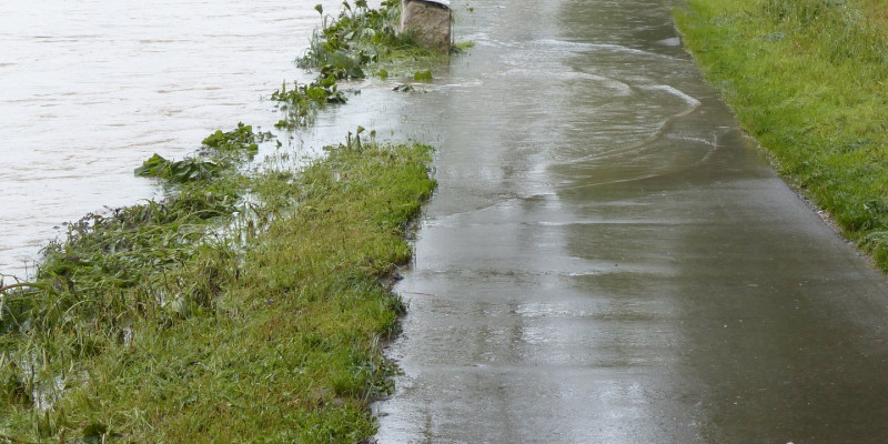 Es ist ein Gehweg zu sehen mit einem Grünstreifen. Dieser ist überschwemmt mit Wasser von dem anliegenden Fluss auf der linken Seite. 