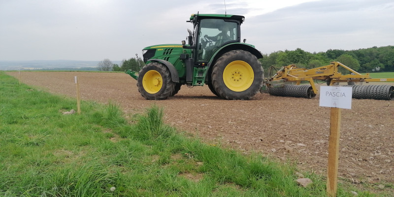 Das Bild zeigt ein Feld und einen Traktor sowie ein Schild mit der Aufschrift "PASCIA". Auf dem Feld werden Kichererbsen angebaut.