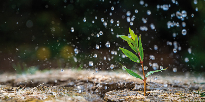 The picture shows raindrops falling on to bare soil. A furrow is visible in the soil. 