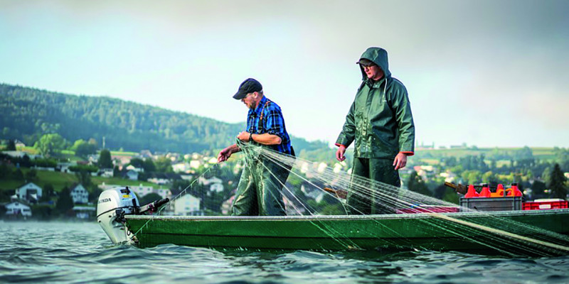 The picture shows two men in waterproof working clothes standing in a small boat on Lake Constance. One of them is holding a fishing net. He seems to be pulling it out of the water. In the background, the lakeshore and a settlement are visible.