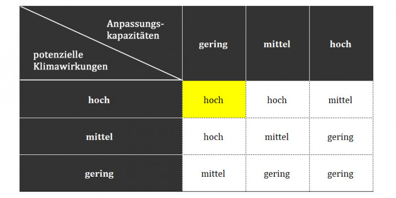 Die Höhe des Klimarisikos mit Anpassung ergibt sich aus einer Bewertung der potenziellen Klimawirkungen und der Anpassungskapazität.