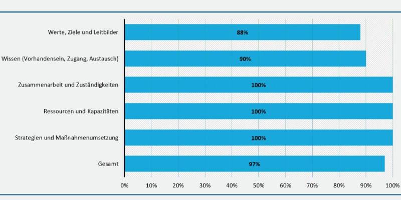 Balkendiagramm zur Vollständigkeit der Angaben in fünf Themenbereichen der Klimawandelanpassung. Werte, Ziele und Leitbilder: 88 %. Wissen (Vorhandensein, Zugang, Austausch): 90 %. Zusammenarbeit und Zuständigkeiten: 100 %. Ressourcen und Kapazitäten: 100 %. Strategien und Maßnahmenumsetzung: 100 %. Gesamt: 97 %. Alle Werte sind als waagerechte blaue Balken dargestellt, sortiert nach Themenbereichen.