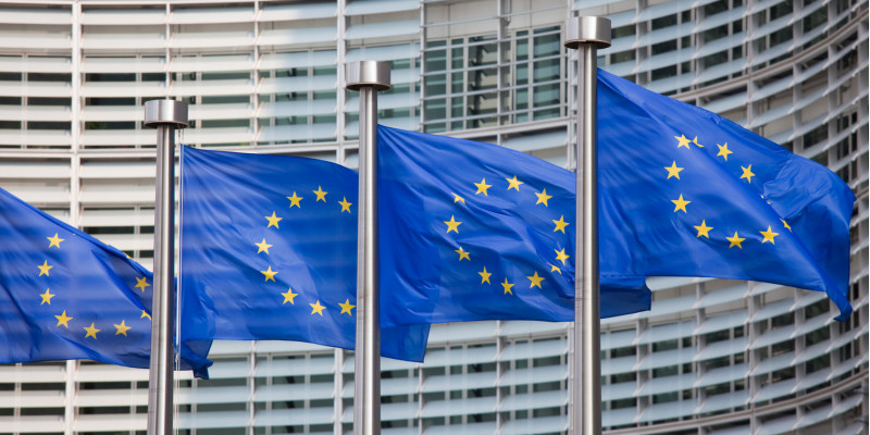 Europaflaggen wehen im Wind vor einem Regierungsgebäude