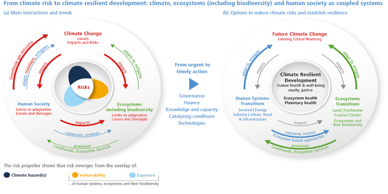 Zwei Kreisdiagramme verdeutlichen die Wechselwirkungen zwischen den gekoppelten Systemen Klima, Ökosysteme und menschlicher Gesellschaft.
