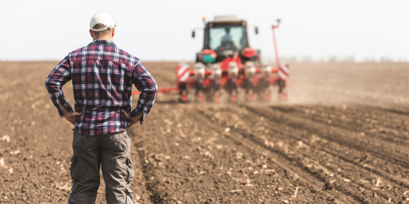 The picture shows a farmer standing in a field looking after a tractor sowing.