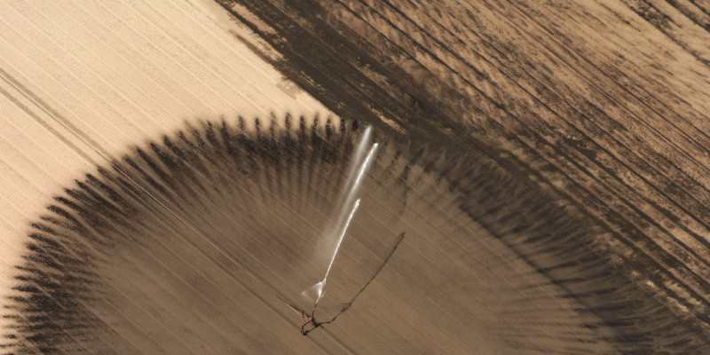 Das Bild zeigt eine offene Ackerfläche, in deren Mitte eine Beregnungsanlage steht, die kreisförmig Wasser auf die Fläche sprengt.