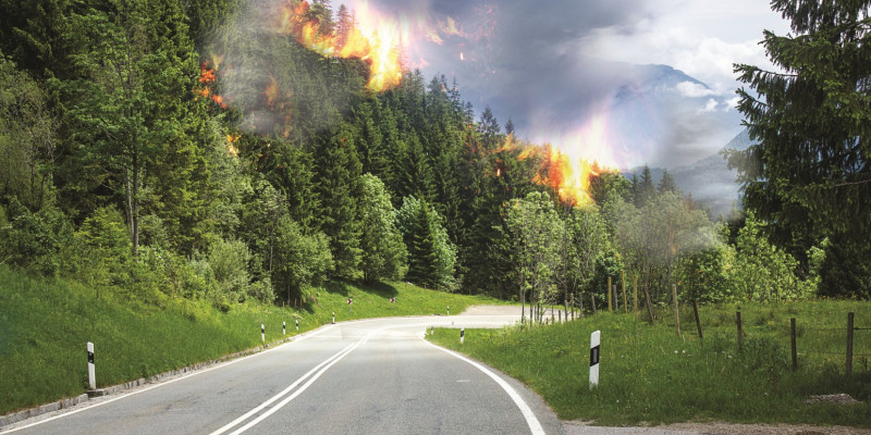 Das Bild zeigt eine Straße, die an einem Waldrand entlangführt. Aus dem Wald schießen Flammen empor, und es ziehen große Rauchwolken in den Himmel. 