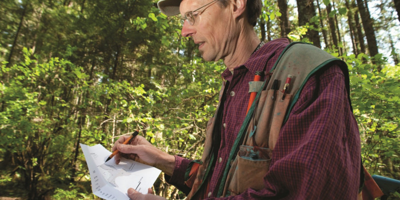 Das Bild zeigt einen Mann in einem Mischwald stehen, der auf einem Papier Aufzeichnungen macht. 