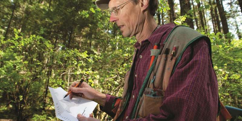 The picture shows a man standing in a mixed forest taking notes on a paper. 