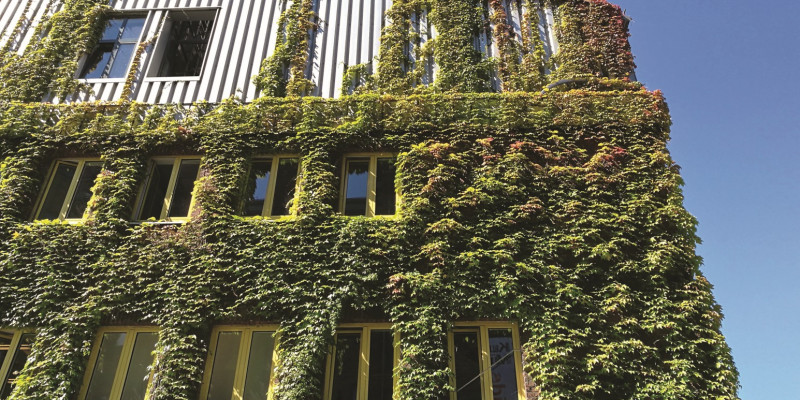 Das Bild zeigt die Metallfassade eines modernen gewerblichen Gebäudes, das nahezu komplett mit einer Kletterpflanze begrünt ist. 