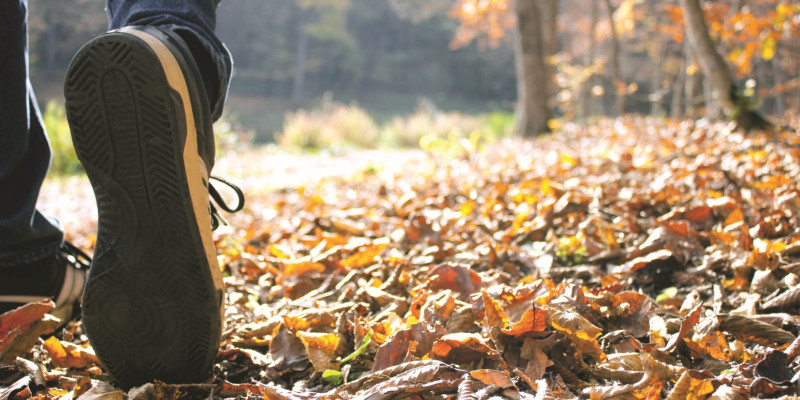 The picture shows a close-up of the sole of a walking shoe. The person is walking through autumn leaves.