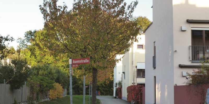 Das Bild zeigt den Erschließungsweg einer Reihenhaussiedlung. Im Vordergrund weist ein Straßenschild die Straße als Auenstraße aus. 