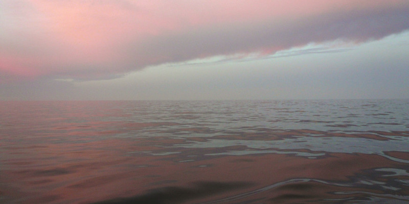 The picture shows a slightly moving sea surface in which the pink clouds are reflected. 