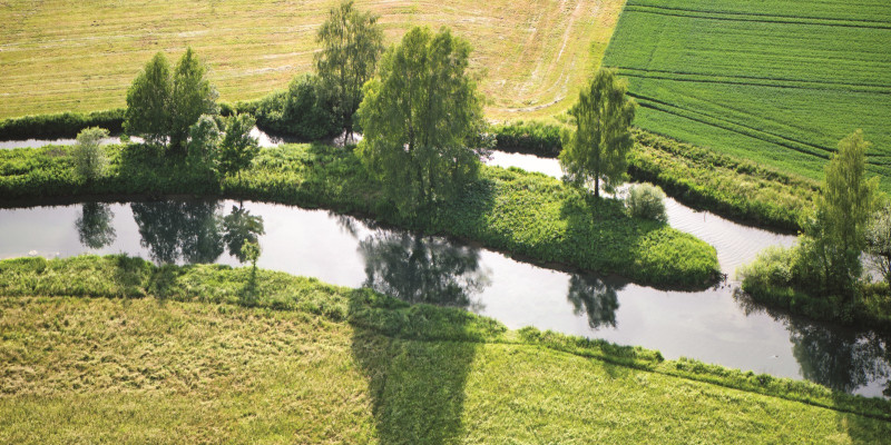 The picture shows a narrow stream flowing through an agricultural area. At the edge of the stream there are individual large trees and some bushes that cast shadows on the water surface. 