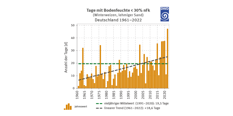 Die Grafik zeigt die Entwicklung der Trockentage für Winterweizen auf lehmigem Sand von 1961 bis 2022. Lehmiger Sand hat im Durchschnitt 19,5 Trockentage (1991–2020), mit einem stärkeren Anstieg als sandiger Lehm. Das Jahr 2022 fällt mit über 40 Trockentagen besonders auf.