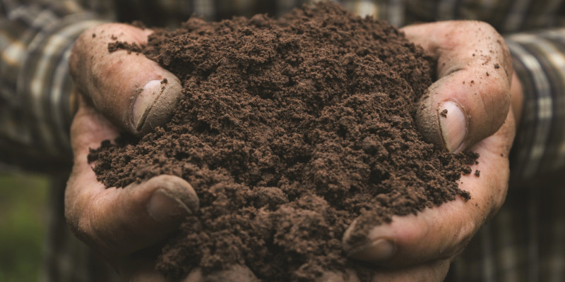 The picture shows two men's hands holding fine-grained soil.
