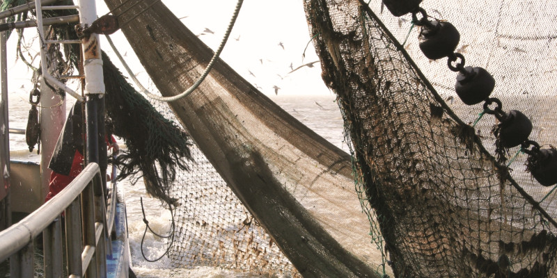 The picture shows a fishing boat on the high seas. The shot was taken from the railing and is directed into a fishing net.