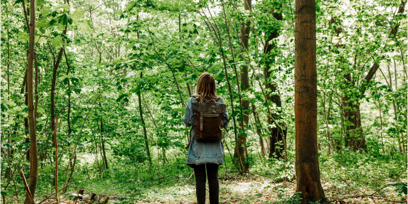 A woman can be seen standing with her back to the picture. She is standing in a forest, which is beautifully green and looks into the distance.