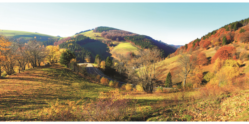 The picture shows a hilly landscape with meadows, hedges, groups of trees and wooded areas in autumnal light. 