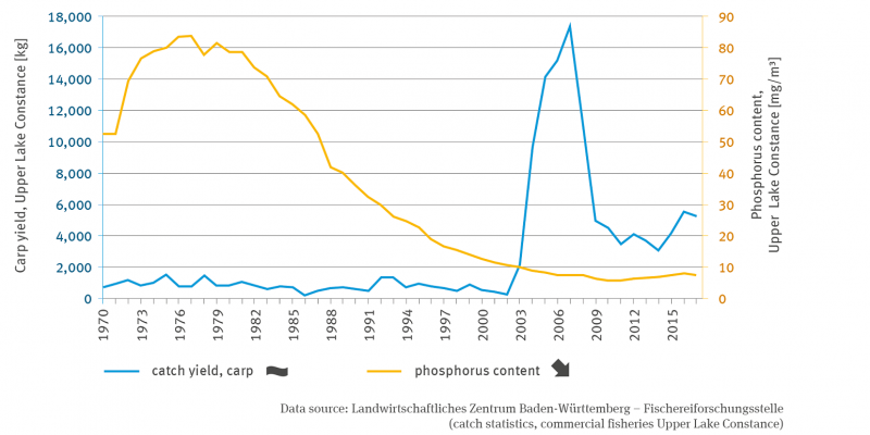 The line graph shows the development of the phosphorus content in Lake Constance in milligrams per cubic metre from 1970 to 2017. There is no trend.