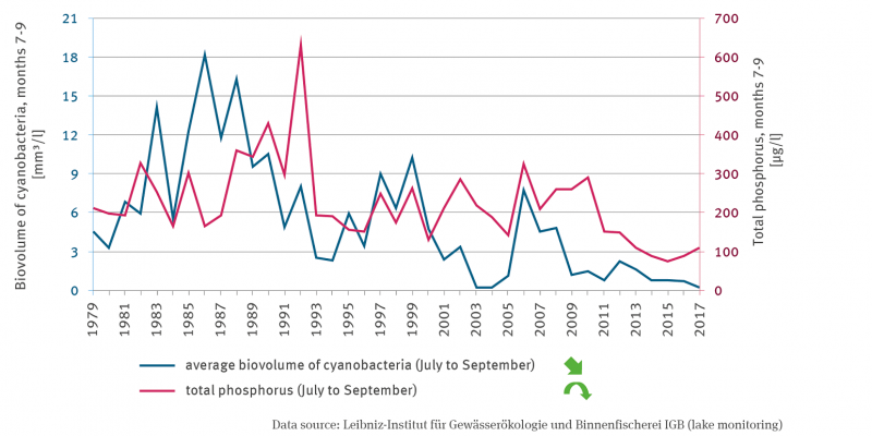 The line graph represents the average biovolume of cyanobacteria (July to September) and the total phosphorus content (July to September) since 1979. The biovolume decreases significantly with large fluctuations between years. The total phosphorus content decreases with a quadratic trend also with strong fluctuations.
