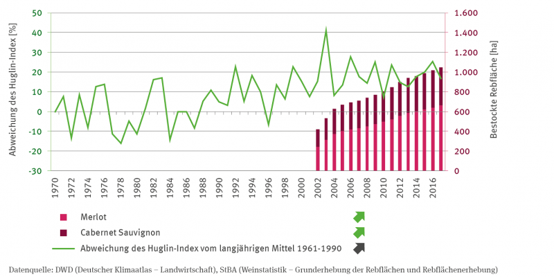The line graph shows the deviation of the Huglin Index from the long-term average 1961 to 1990 in percent from 1970 to 2017. The time series shows a significantly increasing trend with clear fluctuations between the years. The stacking columns showing the area under vines planted with the varieties Merlot and Cabernet Sauvignon in hectares also show significantly increasing trends from 2002 to 2017. More than a thousand hectares were planted with the two varieties in 2017.