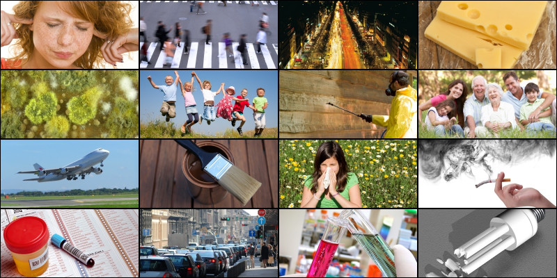 Collage aus 16 Bildern, die Einflussfaktoren aus der Umwelt wie Lärm oder Abgase zeigen