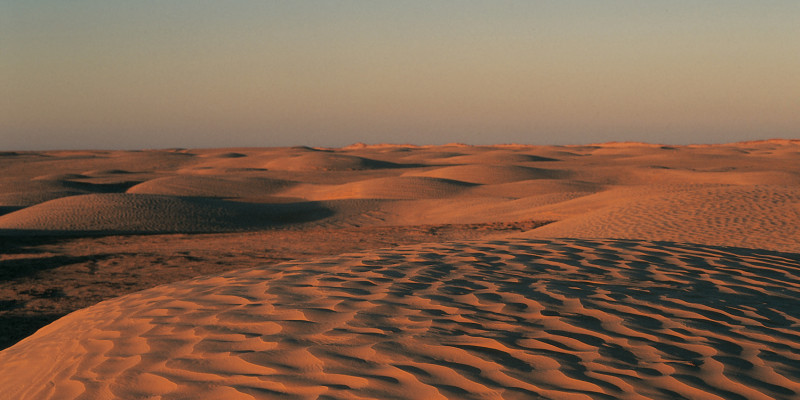 Sanddünen in der Wüste