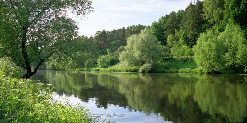 Ein idylisches Flussufer mit vielen grünen Bäumen, die sich im Wasser spiegeln