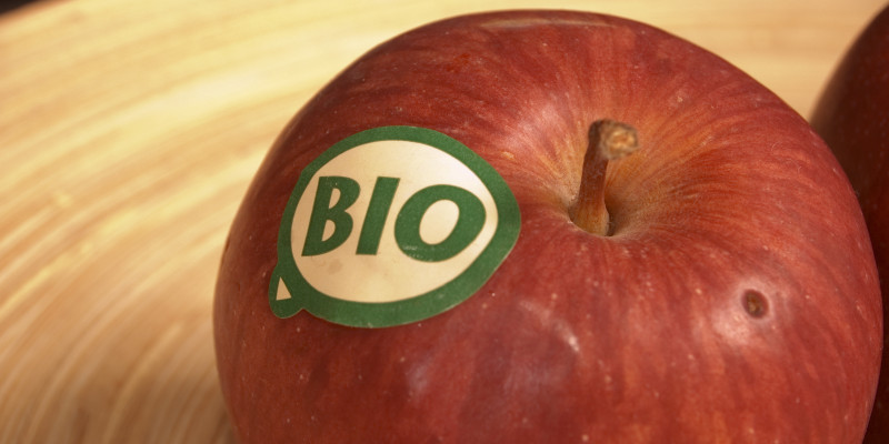 Close-up of an organically grown apple