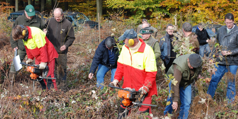 Menschengruppe im Wald